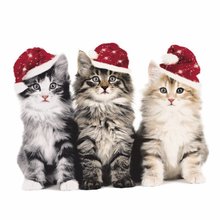 Ubrousky paprov s potiskem 33x33cm - Xmas cats